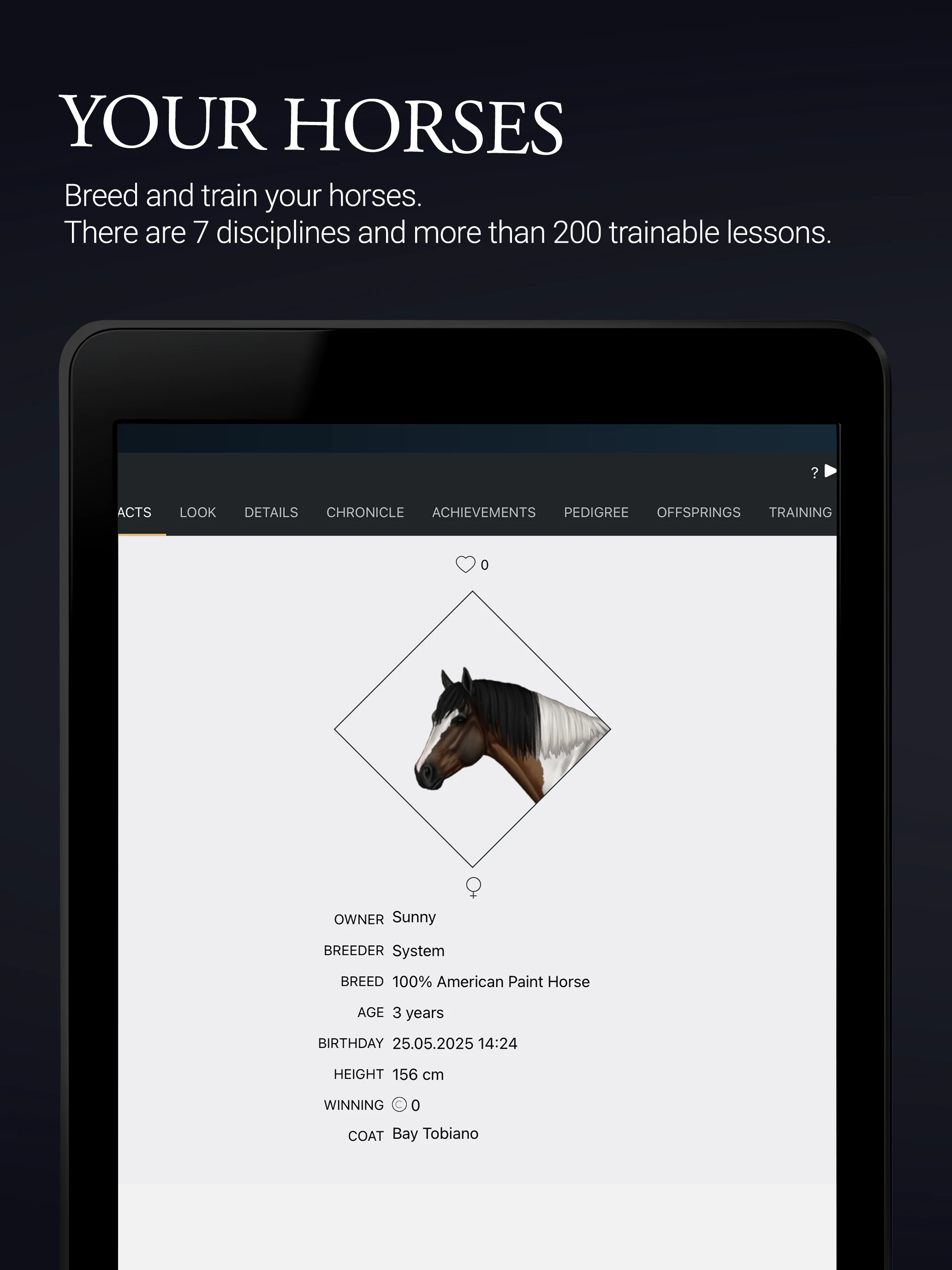 NOBLE HORSE CHAMPION screenshot