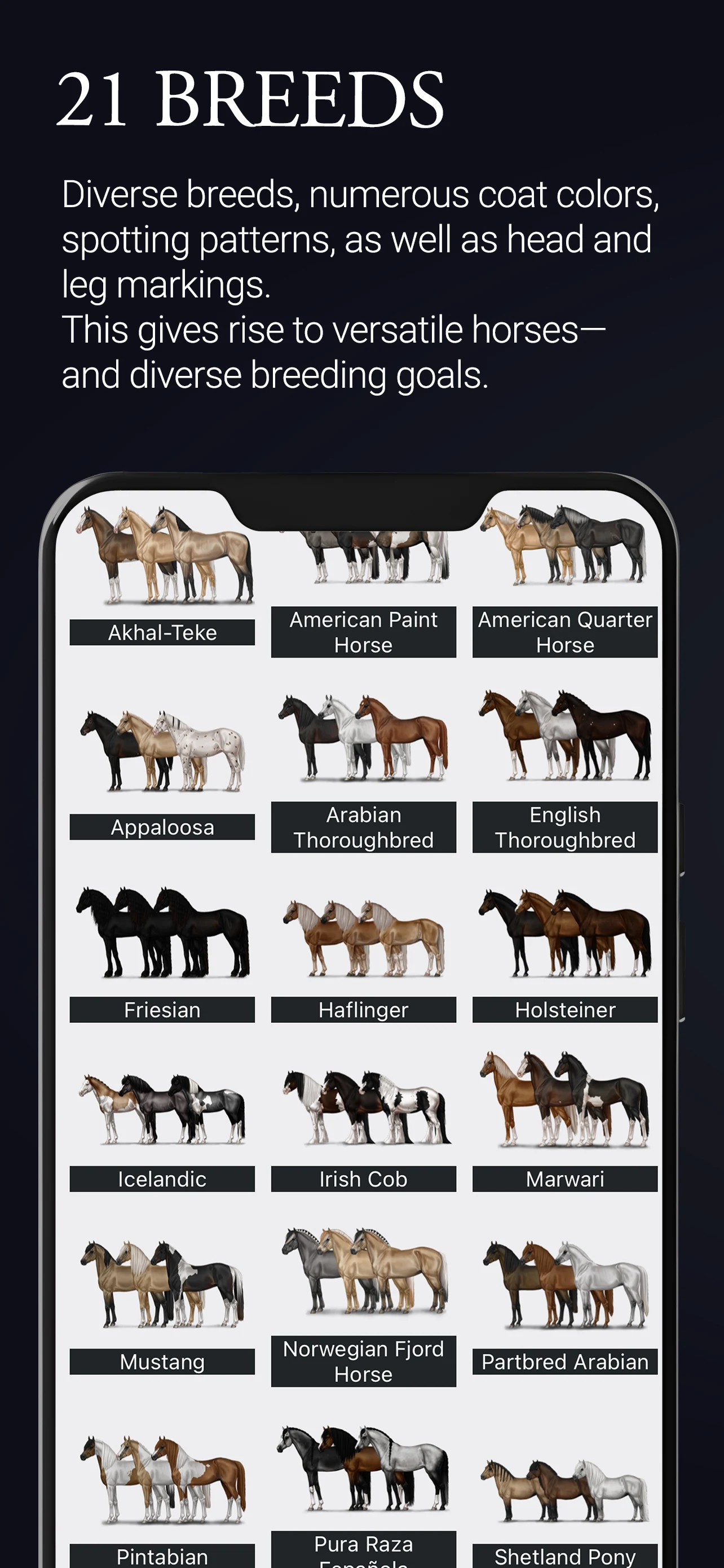NOBLE HORSE CHAMPION screenshot