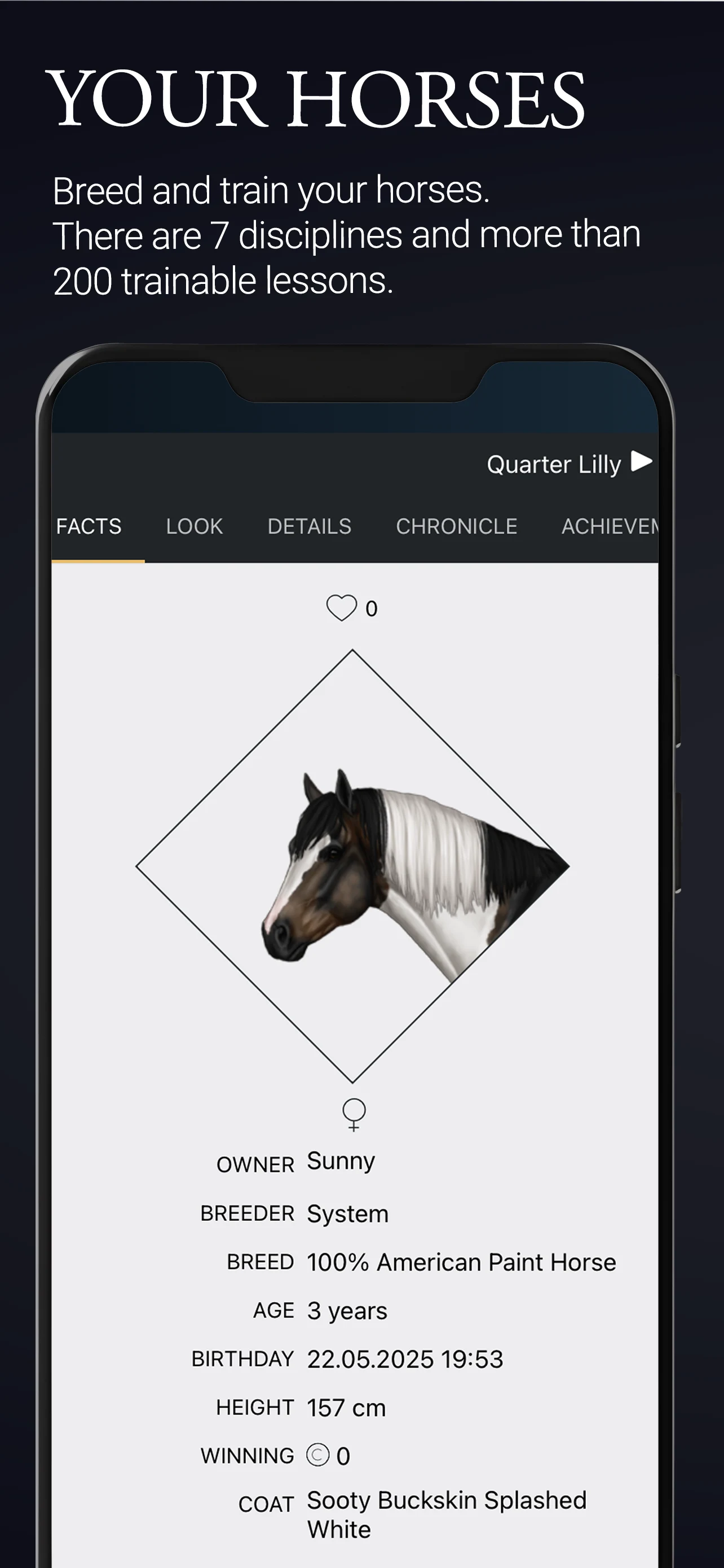 NOBLE HORSE CHAMPION screenshot
