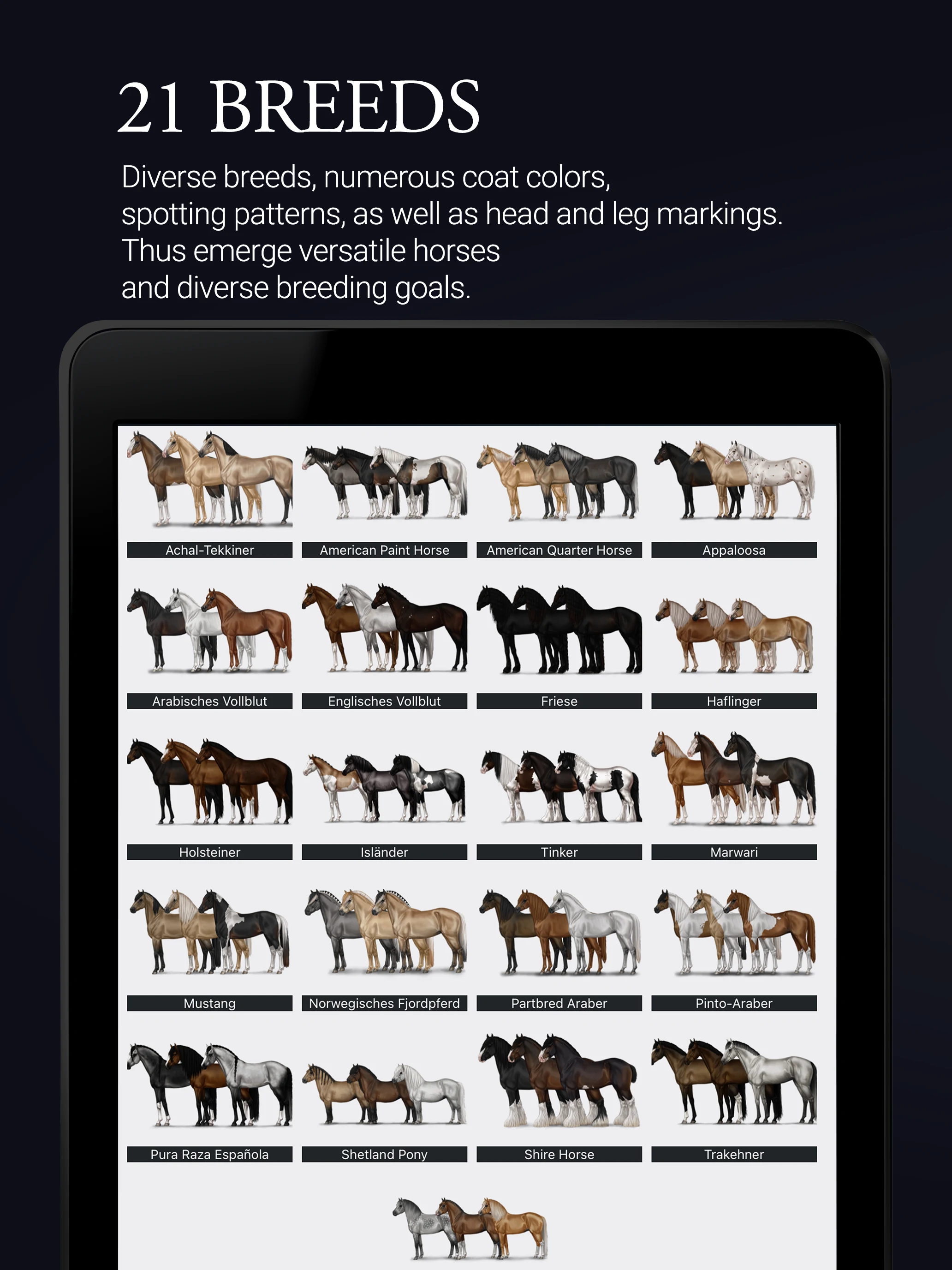 NOBLE HORSE CHAMPION screenshot